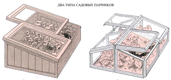 Як зробити міні теплицю для будинку своїми руками, фото приклади