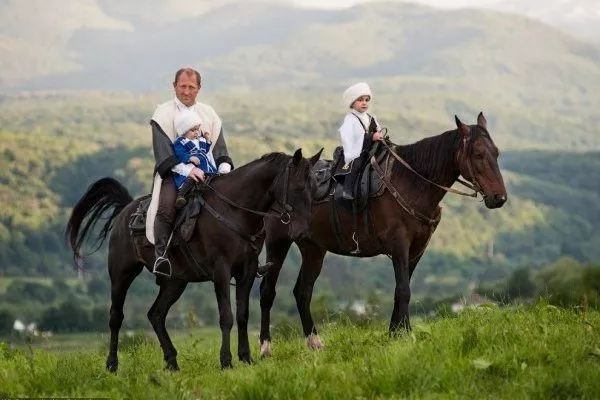 Карачаївські коні