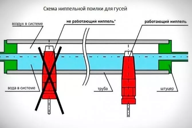 Ніпельні поїлки схема