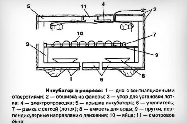 Прилад у розрізі