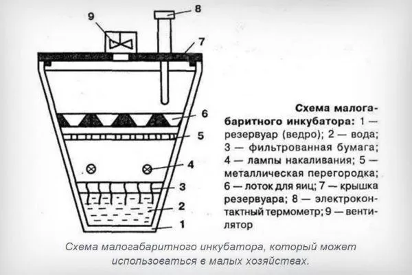 Із пластикового відра