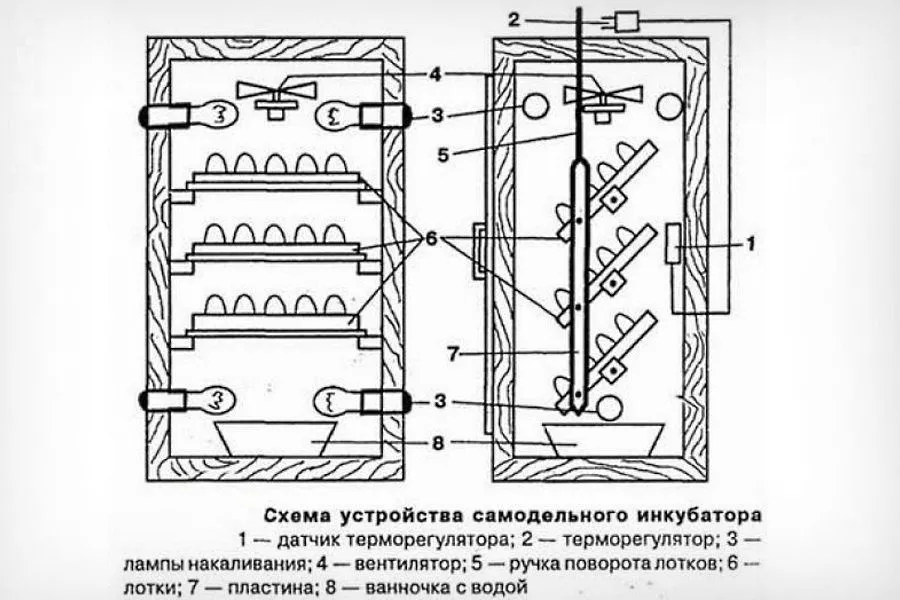 Схема інкубатора