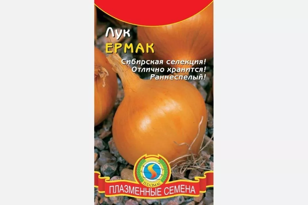 Єрмак