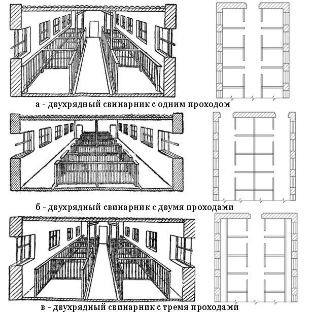 Види свинарників